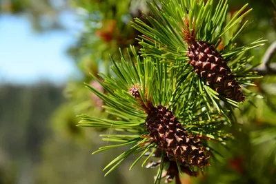 DSC_0190 (Large).JPG